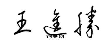 梁錦英王進勝草書個性簽名怎么寫