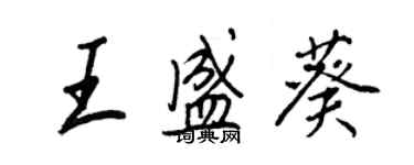 王正良王盛葵行書個性簽名怎么寫