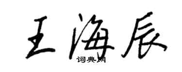 王正良王海辰行書個性簽名怎么寫