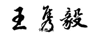 胡問遂王雋毅行書個性簽名怎么寫