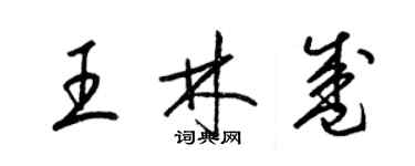 梁錦英王林盛草書個性簽名怎么寫