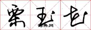 朱錫榮栗玉花草書怎么寫