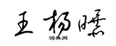 梁錦英王楊曝草書個性簽名怎么寫