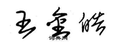 朱錫榮王金皓草書個性簽名怎么寫