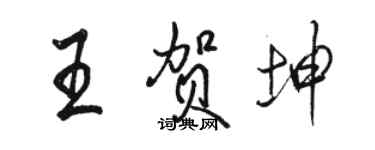 駱恆光王賀坤行書個性簽名怎么寫