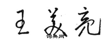 駱恆光王美亮草書個性簽名怎么寫