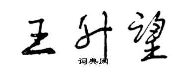 曾慶福王升望行書個性簽名怎么寫