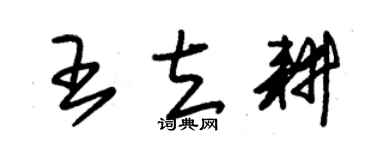 朱錫榮王立耕草書個性簽名怎么寫
