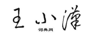 駱恆光王小漢草書個性簽名怎么寫