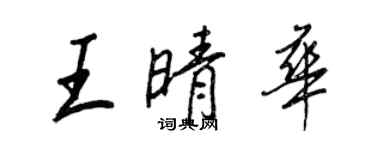 王正良王晴華行書個性簽名怎么寫