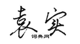 駱恆光袁實行書個性簽名怎么寫
