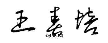 曾慶福王春培草書個性簽名怎么寫