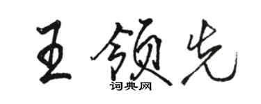 駱恆光王領先行書個性簽名怎么寫