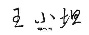 駱恆光王小坦草書個性簽名怎么寫