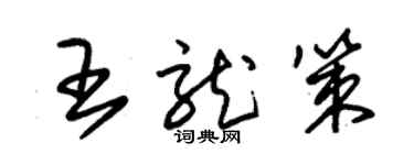 朱錫榮王龍策草書個性簽名怎么寫