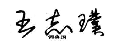 朱錫榮王志璞草書個性簽名怎么寫