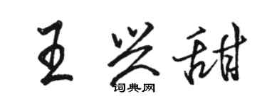 駱恆光王興甜行書個性簽名怎么寫