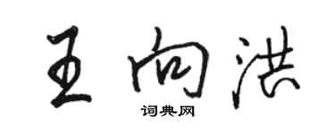 駱恆光王向洪行書個性簽名怎么寫