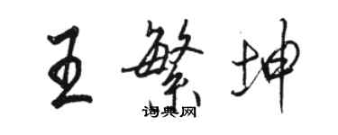 駱恆光王繁坤行書個性簽名怎么寫