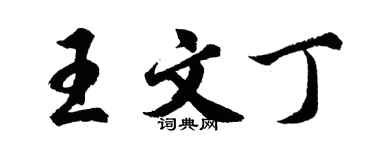 胡問遂王文丁行書個性簽名怎么寫