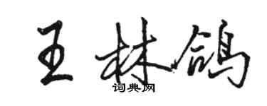 駱恆光王林鴿行書個性簽名怎么寫