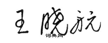 駱恆光王曉航草書個性簽名怎么寫