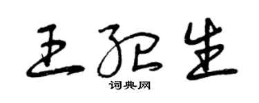曾慶福王紀生草書個性簽名怎么寫