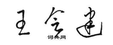 駱恆光王會建草書個性簽名怎么寫