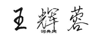 駱恆光王輝蓉行書個性簽名怎么寫