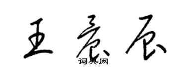 梁錦英王晨辰草書個性簽名怎么寫