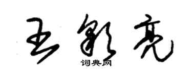 朱錫榮王彩亮草書個性簽名怎么寫