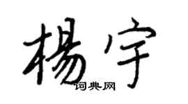 王正良楊宇行書個性簽名怎么寫