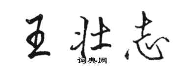 駱恆光王壯志行書個性簽名怎么寫