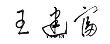 駱恆光王建富草書個性簽名怎么寫