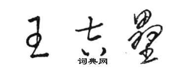 駱恆光王吉壘草書個性簽名怎么寫