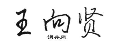 駱恆光王向賢行書個性簽名怎么寫