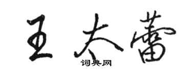 駱恆光王太蕾行書個性簽名怎么寫