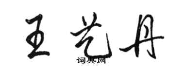 駱恆光王藝丹行書個性簽名怎么寫