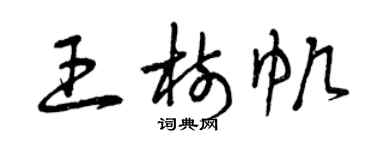 曾慶福王樹帆草書個性簽名怎么寫