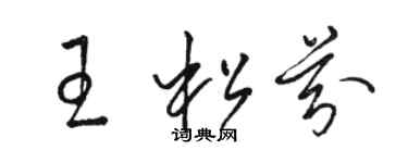 駱恆光王松芬草書個性簽名怎么寫