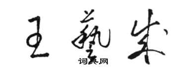 駱恆光王藝成草書個性簽名怎么寫