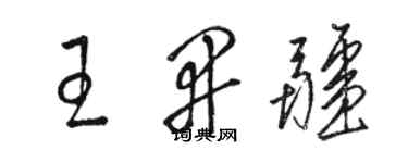 駱恆光王開疆草書個性簽名怎么寫