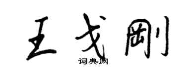 王正良王戈剛行書個性簽名怎么寫