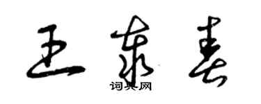 曾慶福王泰春草書個性簽名怎么寫