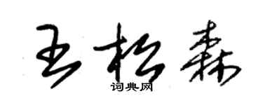 朱錫榮王松森草書個性簽名怎么寫