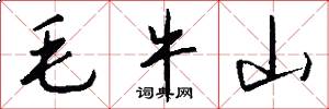 毛牛山怎么寫好看