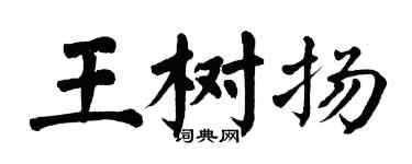 翁闓運王樹揚楷書個性簽名怎么寫