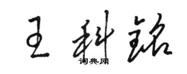 駱恆光王科銘草書個性簽名怎么寫