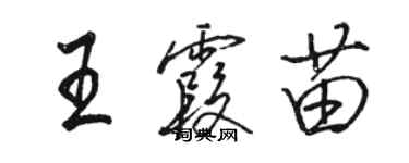 駱恆光王霞苗行書個性簽名怎么寫