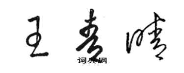 駱恆光王青晴草書個性簽名怎么寫